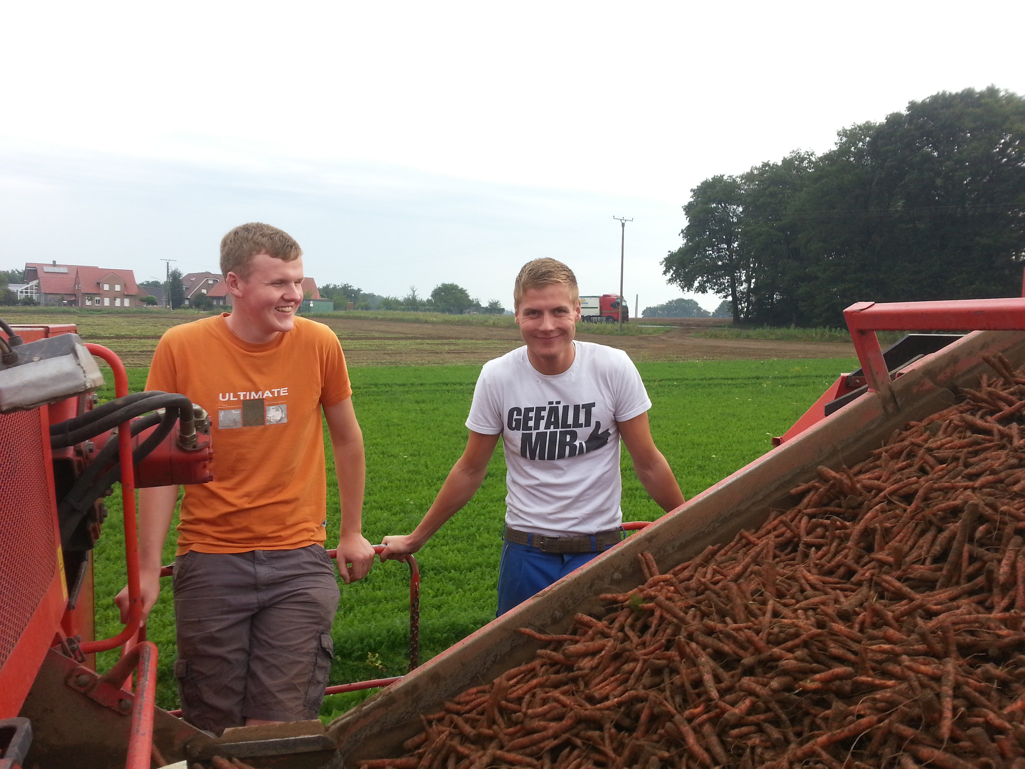 Benedikt und Tobias bei der Möhrenernte.
