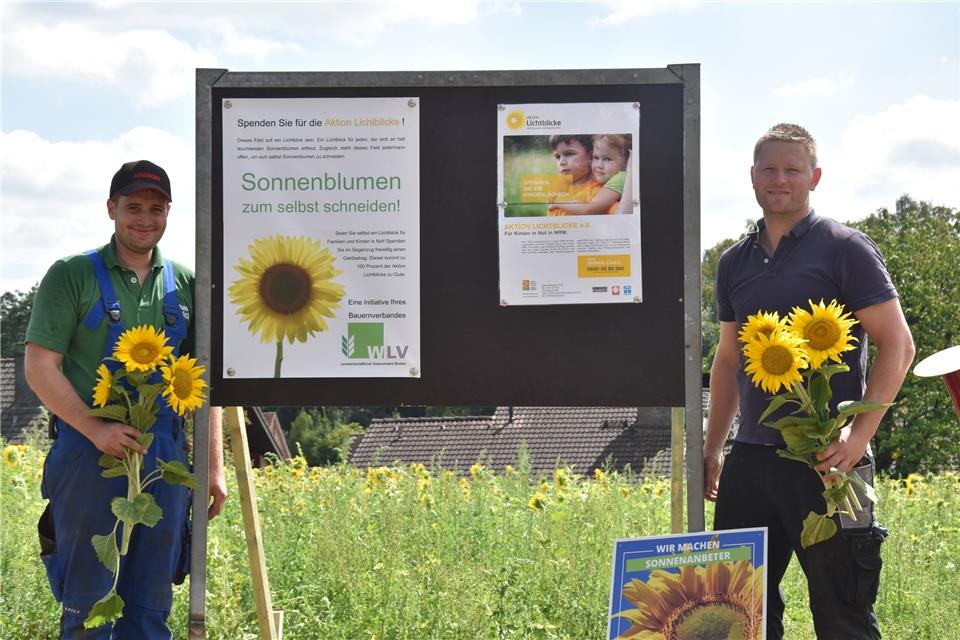 Hendrik Vestrick und Michael Stienen am Sonnenblumenfeld